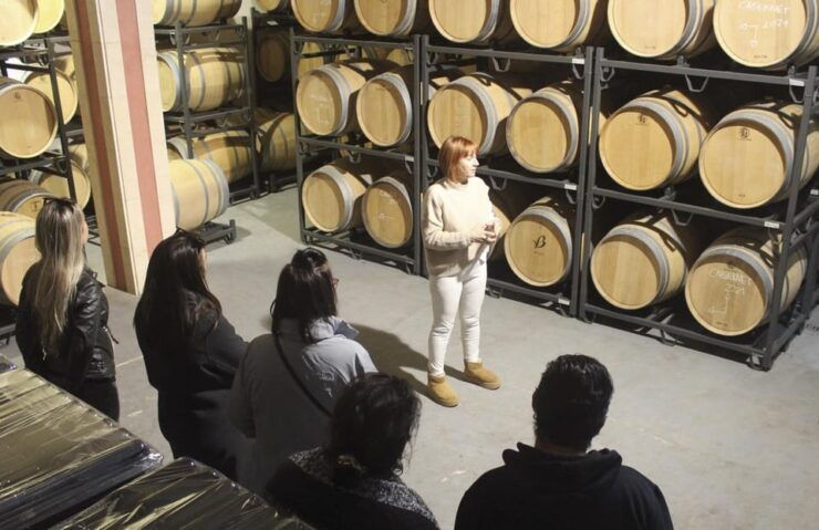 Alcudia/Can Picafort: Guided Vineyard Visit and Wine Tasting - Good To Know