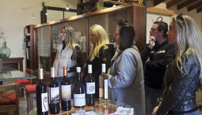 Alcudia/Can Picafort: Guided Vineyard Visit and Wine Tasting - Itinerary