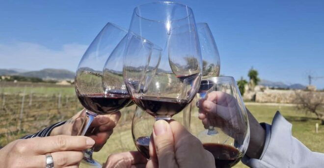 Alcudia/Can Picafort: Guided Vineyard Visit and Wine Tasting - Winery Details