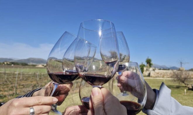 Alcudia/Can Picafort: Guided Vineyard Visit and Wine Tasting - Customer Reviews