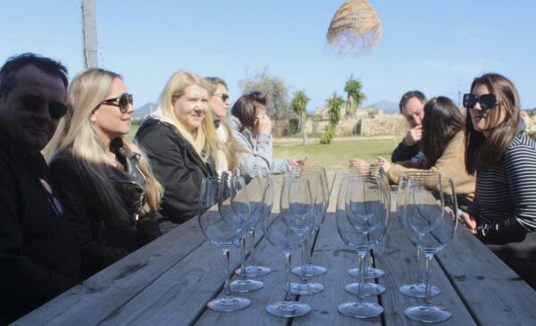 Alcudia/Can Picafort: Guided Vineyard Visit and Wine Tasting - Languages Offered
