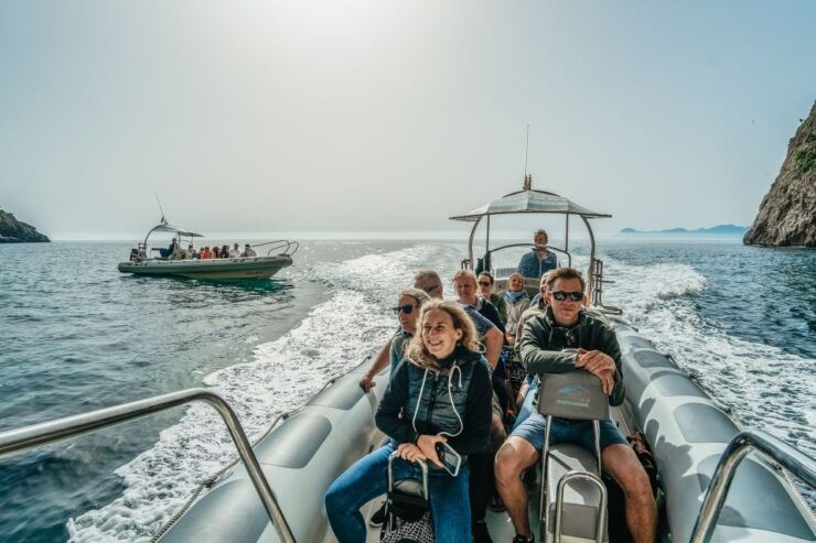 Alcudia/Can Picafort: Sunrise Dolphin-Watching Guided Cruise - Experience Highlights