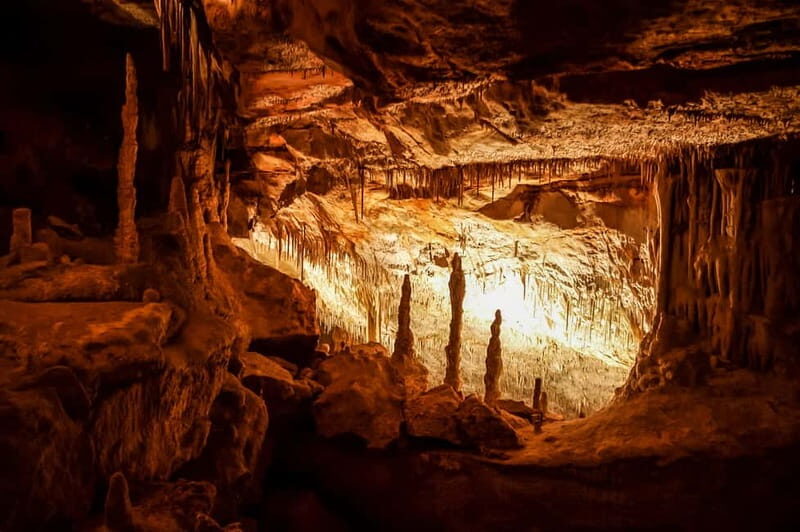 Alcudia: Caves of Drach Tour from the North with Boat Trip - Who Should Consider This Tour?