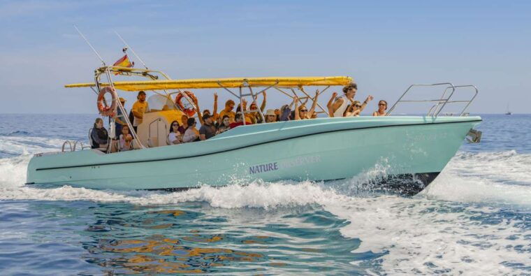 Alcudia: Coll Baix Beach & Sea Caves Cruise With Snorkeling - Experience Highlights