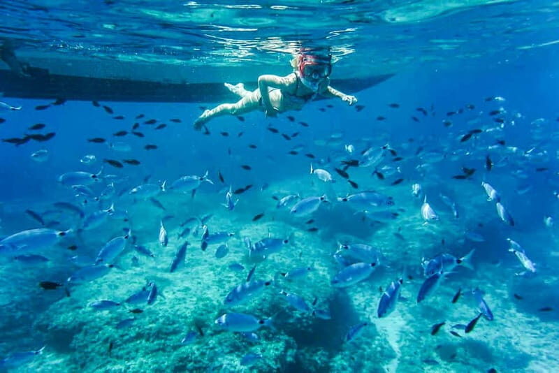 Alcudia: Formentor Beach, Lighthouse Cruise, and Small Group - Good To Know