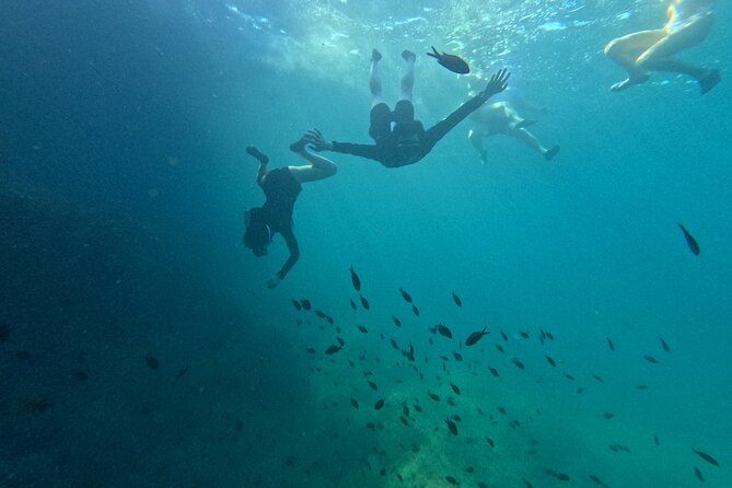 Alcudia: Guided Sea Kayaking & Snorkelling Tour (Day & Sunset) - Activities and Equipment Provided
