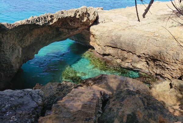 Alcudia: Guided Sea Kayaking Tour With Snorkeling - Language Options