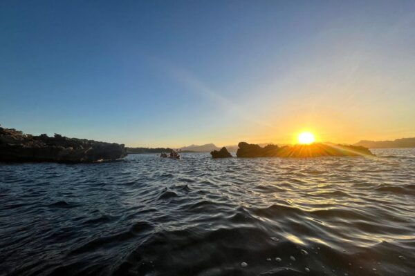 Alcudia: Guided Sea Kayaking Tour With Snorkeling - Frequently Asked Questions