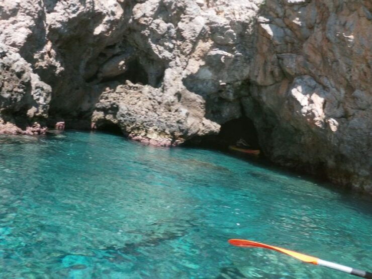 Alcudia: Kayak or Stand-Up Paddleboard Rental - Rental Options Available in Alcudia