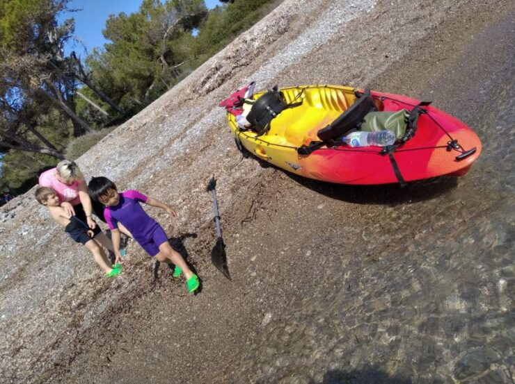 Alcudia: Kayak or Stand-Up Paddleboard Rental - Experience Alcudias Stunning Coastline
