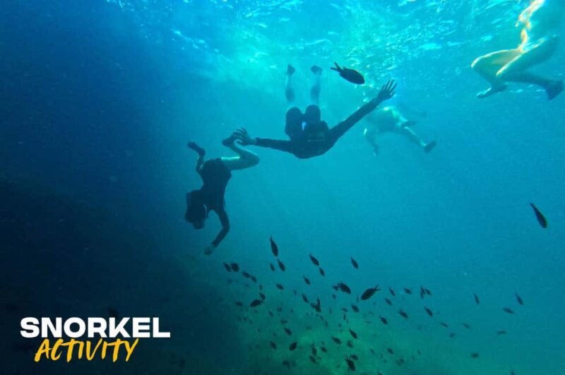 Alcudia: Kayaking Tour with Snorkel & Sea Cave Swim - Exploring the Details of the Alcudia Kayaking Tour