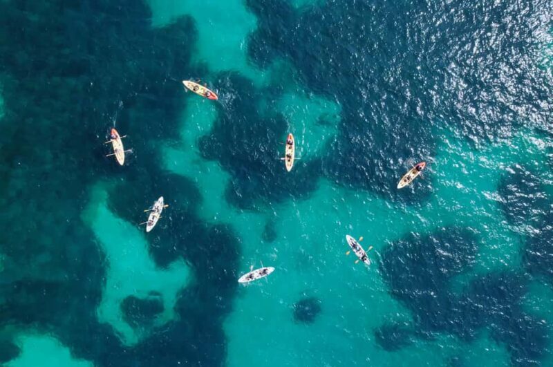 Alcudia: Kayaking Tour with Snorkel & Sea Cave Swim - Final Thoughts: Is This Tour Worth It?