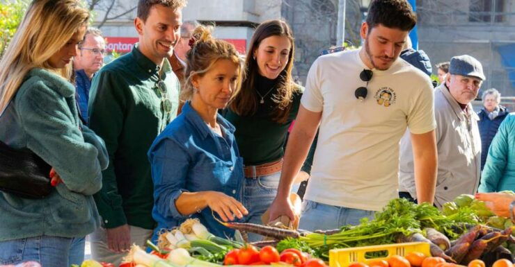 Alcudia Old Town: Market Tour and Tapas Workshop With Wine - Good To Know
