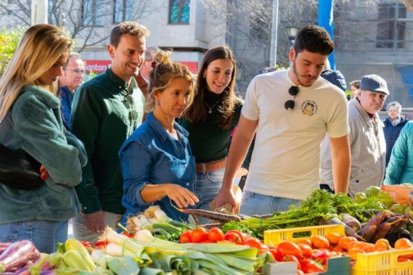 Alcudia Old Town: Market Tour and Tapas Workshop With Wine - The Sum Up