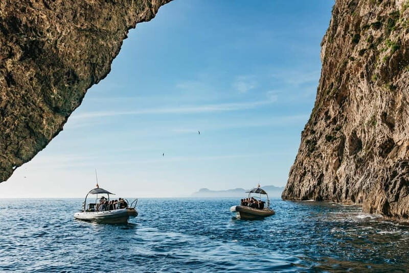 Alcudia or Can Picafort: Dolphin-Watching Cruise - The Itinerary — What to Expect on the Water