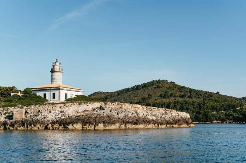 Alcudia or Can Picafort: Dolphin-Watching Cruise - Authentic Experiences and Traveler Insights