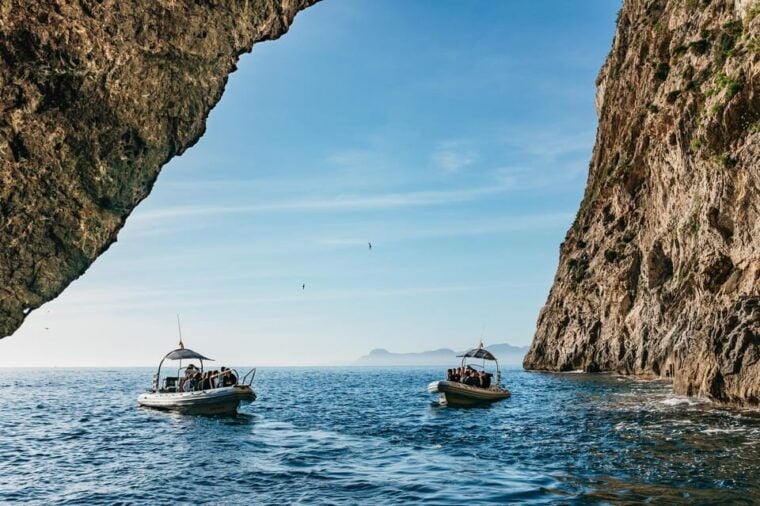 Alcudia or Can Picafort: Dolphin-Watching Tour, Small Group - Pickup and Meeting Information