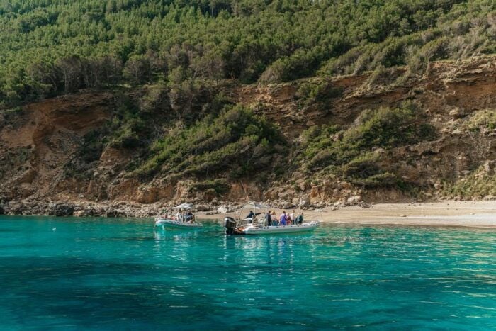 Alcudia or Can Picafort: Dolphin-Watching Tour, Small Group - Exploring the Scenic Cabo Formentor