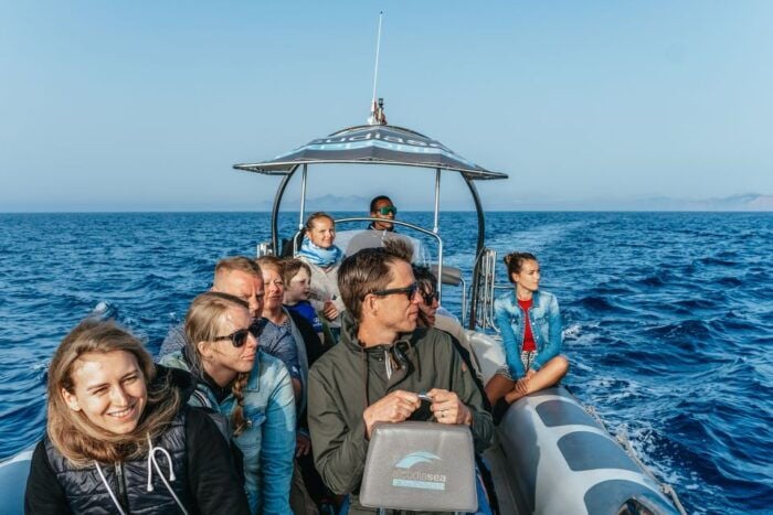 Alcudia or Can Picafort: Dolphin-Watching Tour, Small Group - Discovering the Beauty of Es Coll Baix Beach
