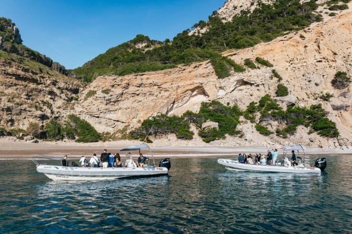 Alcudia or Can Picafort: Dolphin-Watching Tour, Small Group - Encountering Dolphins in Their Natural Habitat