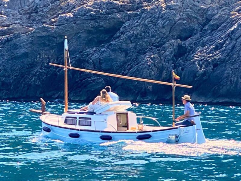 Alcudia & Pollensa Private Boat Tour, Captain, Fuel, Snorkel - FAQ