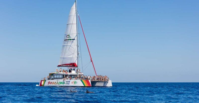 Alcudia: Sunset Catamaran Tour With Dinner and Snorkeling - Itinerary and Experience