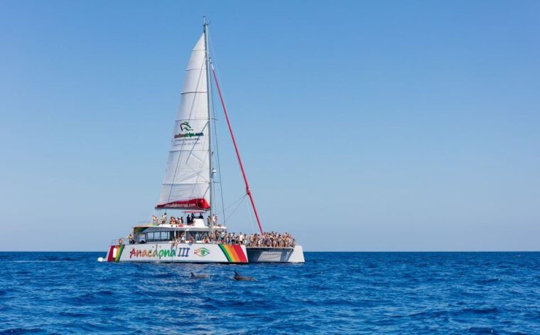 Alcudia: Sunset Catamaran Tour With Dinner and Snorkeling - Amenities and Inclusions