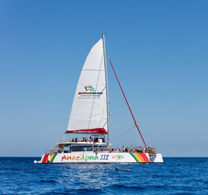 Alcudia: Sunset Catamaran Tour With Dinner and Snorkeling - Meeting Point and What to Bring