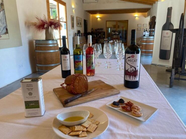 Alcudia: Vineyard Tour & Exclusive Wine Tasting Experience - Experience Details