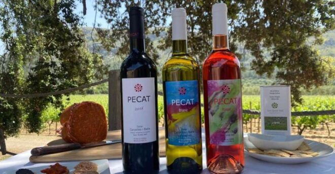 Alcudia: Vineyard Tour & Exclusive Wine Tasting Experience - Full Description
