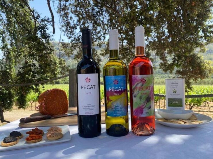 Alcudia: Vineyard Tour & Exclusive Wine Tasting Experience - Experience Highlights