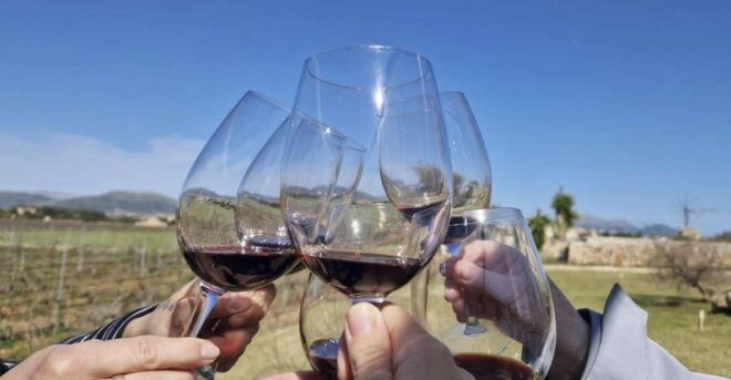 Alcudia Winecellar Tour: Vineyard Visit, Tasting of 5 Wines - Booking Policy and Guide Information