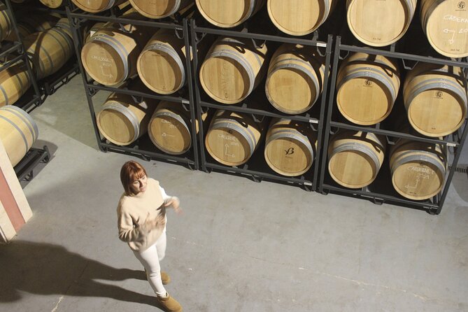 Alcudia Winecellar Tour With Vineyard Visit, Tasting of 5 Wines - Reviews