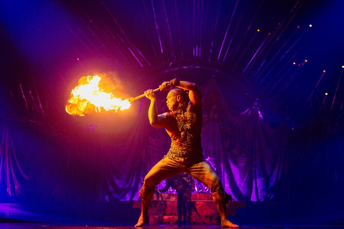Alegria by Cirque Du Soleil Under the Big Top in Malaga - Ticket Inclusions