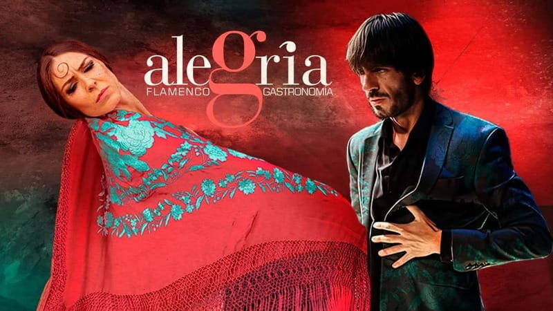 Alegria Flamenco in Malaga, with Transfer, Cocktail and Premium Location - What Makes This Flamenco Experience Stand Out