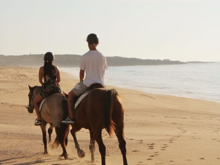 Alentejo Coast: Horseback Riding on the Beach With a Guide - Experience Highlights