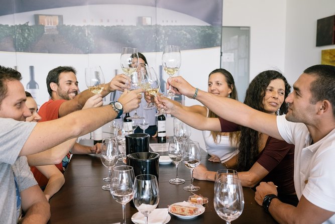 Alentejo Premium Wine Tour - Wine Tasting Experiences