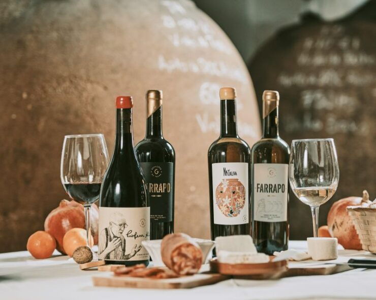 Alentejo: Visit and Taste the Tradition of Talha Wines - Discover Talha Wine Making Process