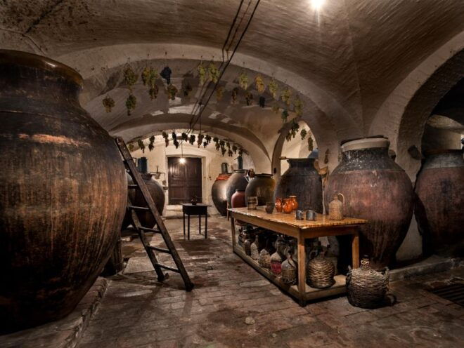 Alentejo: Visit and Taste the Tradition of Talha Wines - Taste Talha Wines With Local Petiscos