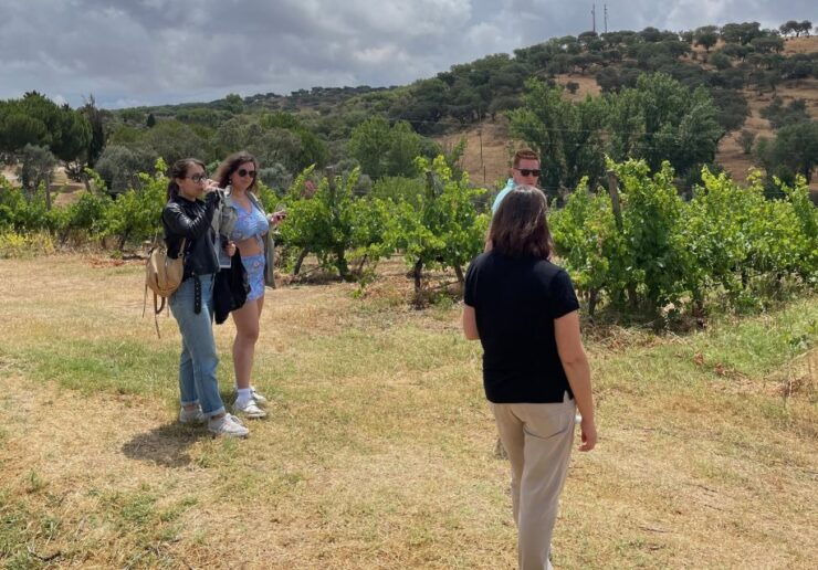 Alentejo Wine From Évora - Discovering Alentejos Winemaking Heritage