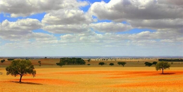 Alentejo Wine Tour from the Algarve - FAQs