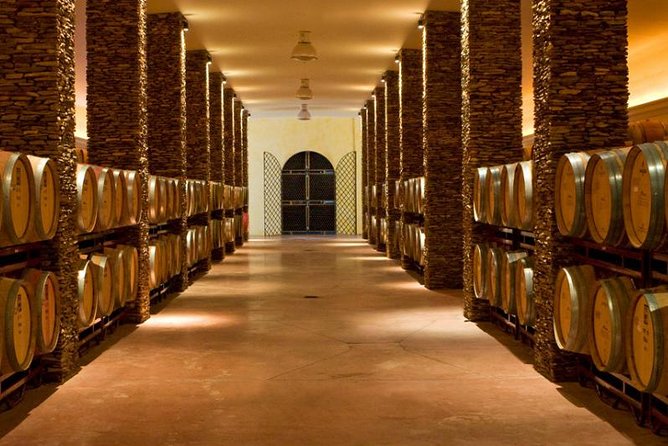 Alentejo Wine Tour From the Algarve - Private Tour From the Algarve