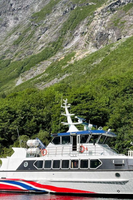Ålesund - Geiranger - Ålesund Sightseeing Full-Day Tour - Scenic Experience