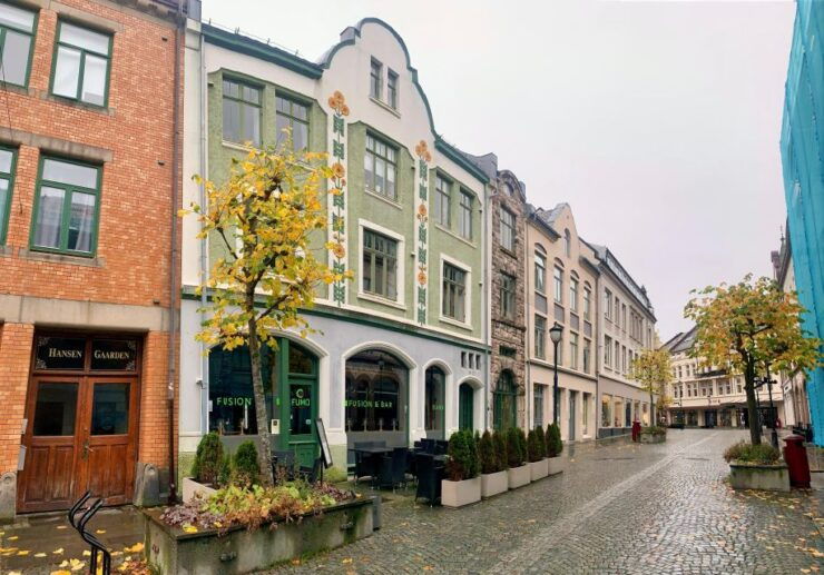 Alesund Heritage Sightseeing Tour - Tour Details