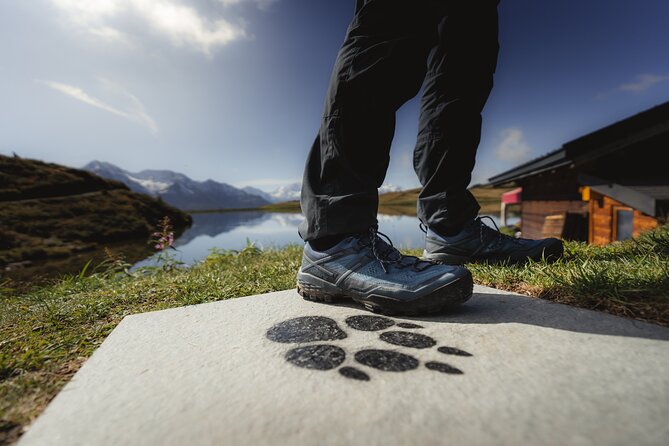 Aletsch Foxtrail Desoria - Pricing and Booking