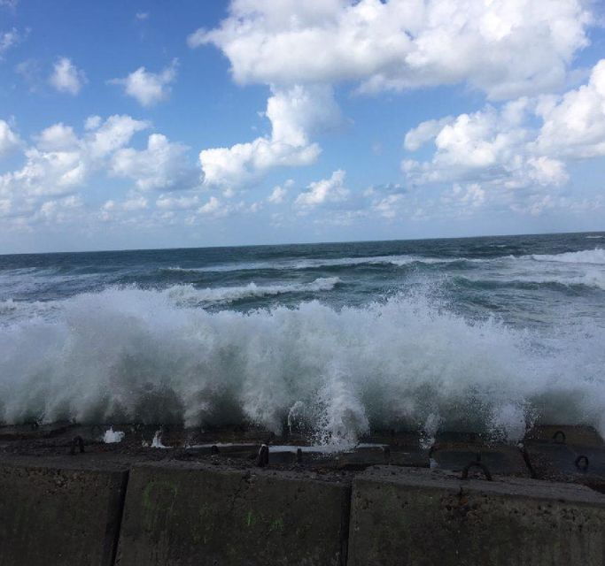Alexandria: Guided Day Tourwith Entry Tickets and Lunch - Activity Details