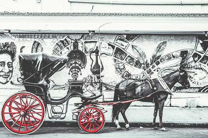 Alexandria Horse Carriage Tour - Tour Details