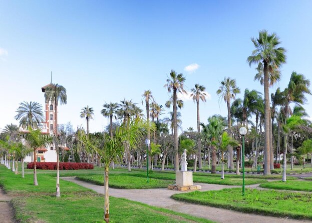 Alexandria Private Day Tour From Cairo - Pricing and Options