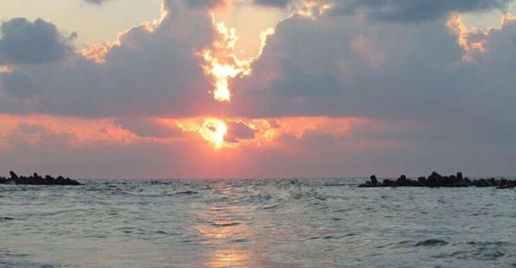 Alexandria : Rosetta Day Tour From Alexandria - Highlights of Rosetta Day Tour