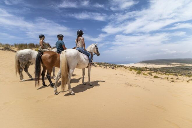 Algarve: 1-Hour Carrapateira Horseback Riding Tour - Full Description